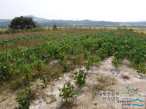 대표시청각 이미지