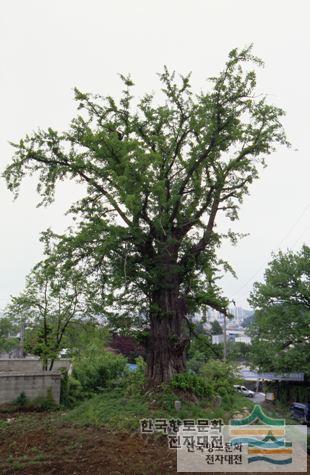 대표시청각 이미지