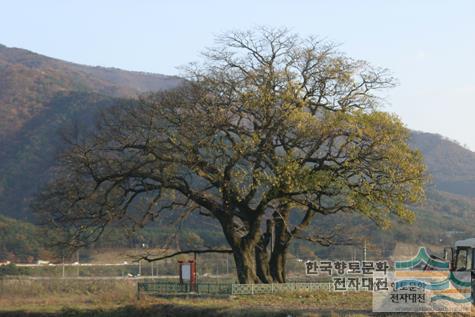 대표시청각 이미지