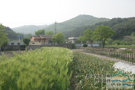 대표시청각 이미지