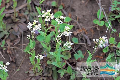 대표시청각 이미지