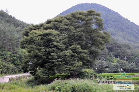 대표시청각 이미지