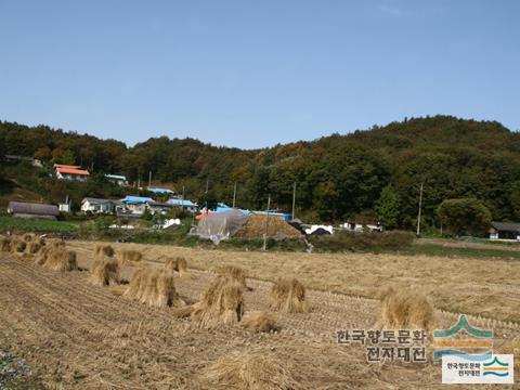 대표시청각 이미지