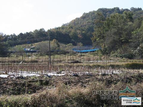 대표시청각 이미지