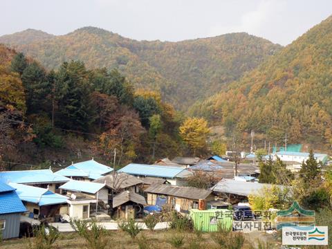 대표시청각 이미지