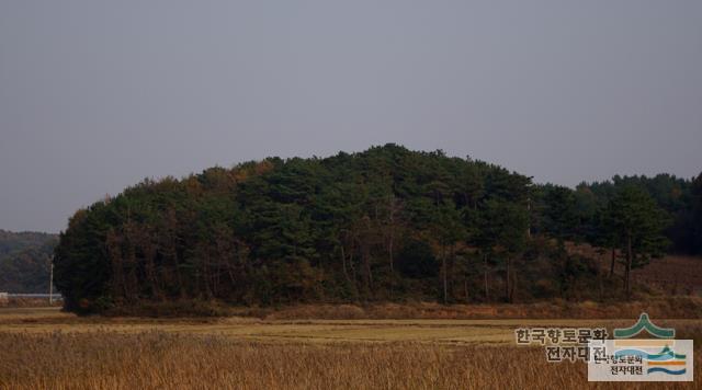 대표시청각 이미지