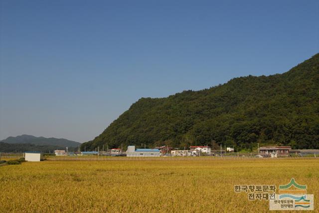 대표시청각 이미지