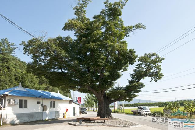 대표시청각 이미지