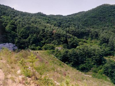 시곡리 절터 전경 썸네일 이미지