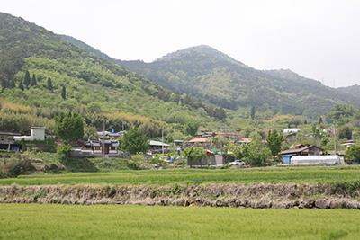 대치리 대치 진주 정씨 집성촌 썸네일 이미지