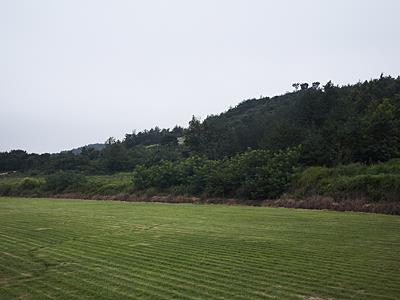 북방리 유물 산포지 썸네일 이미지