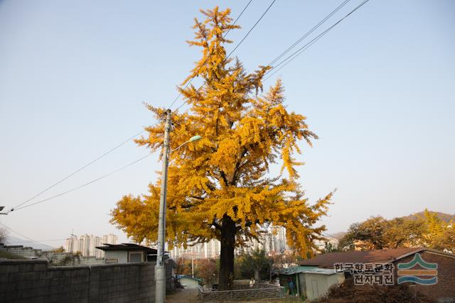 대표시청각 이미지