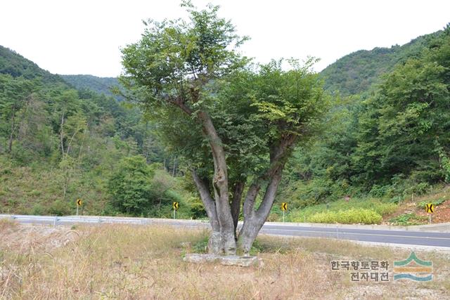 대표시청각 이미지