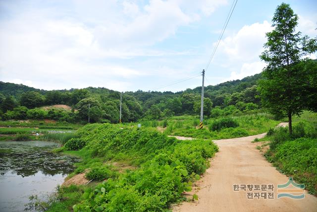 대표시청각 이미지