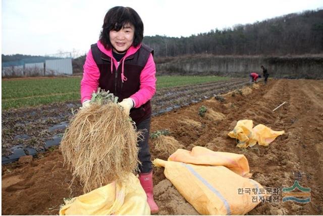 대표시청각 이미지