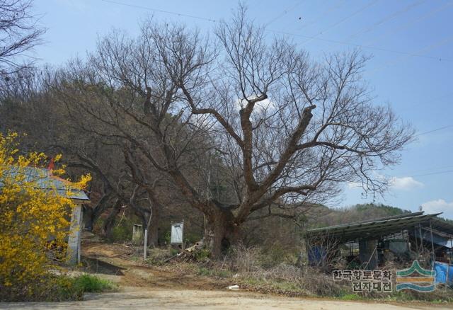 대표시청각 이미지