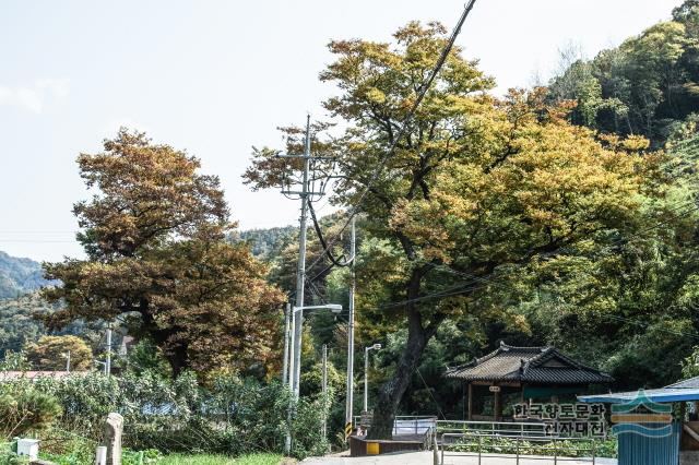 대표시청각 이미지