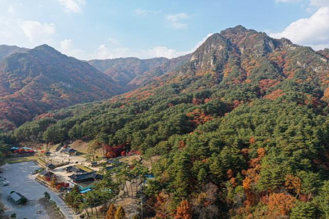 대표시청각 이미지